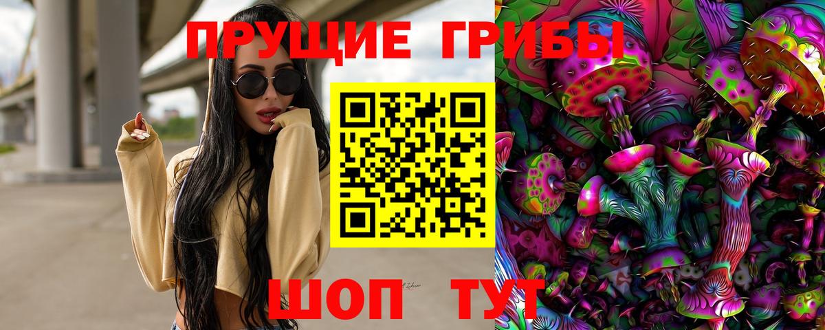 Псилоцибиновые грибы Cubensis Верхний Уфалей